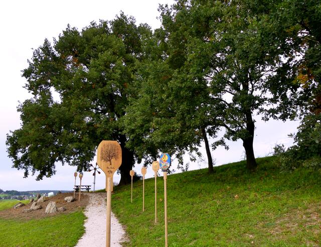 52 Brotschieber wurden von der Landjugend Tarsdorf gestaltet. | Foto: Gde Tarsdorf