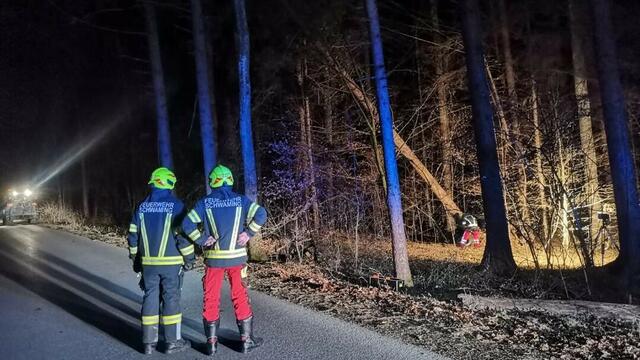Fotos: FF Schwaming