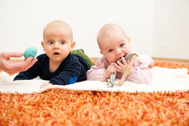 Foto: Zitronenfalter