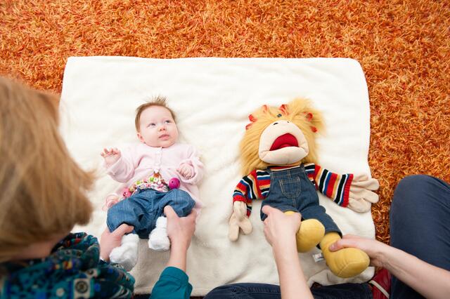 Foto: Zitronenfalter