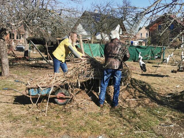 Foto: derWaltl