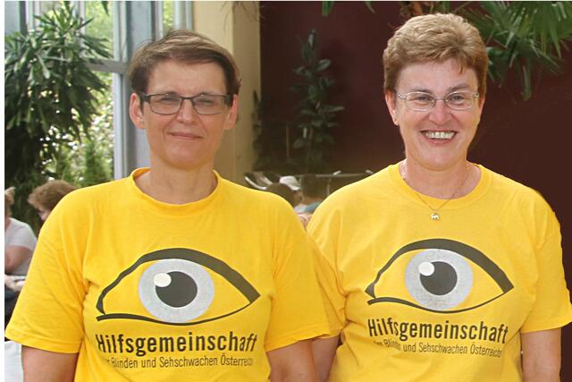 Stichwort:: Hilfsgemeinschaft der Blinden und Sehschwachen - Krems