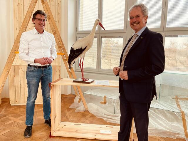 Foto: LT-Direktion NÖ / Schultes
