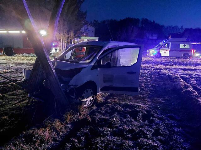 In Leutschach krachte ein Fahrzeug in einen Hopfenacker und ein Hopfenmasten wurde geknickt. | Foto:  M. Postl/FF Leutschach