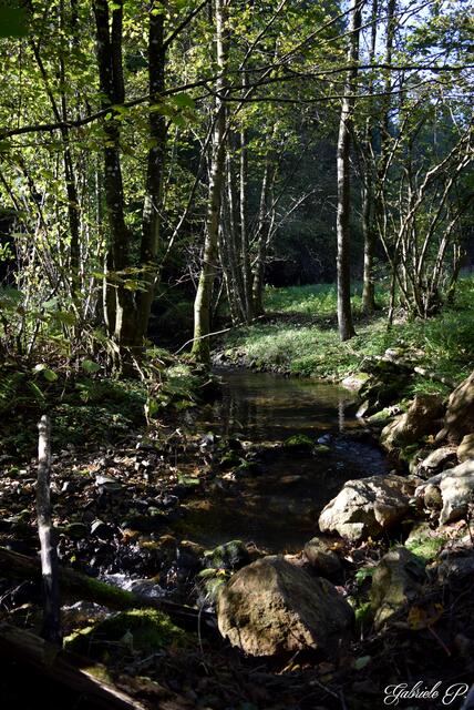 Wasser geht halt immer  | Foto: Gabriele P.