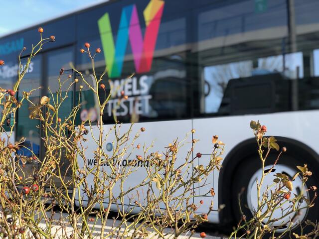 Welser Testbus | Foto: BRS
