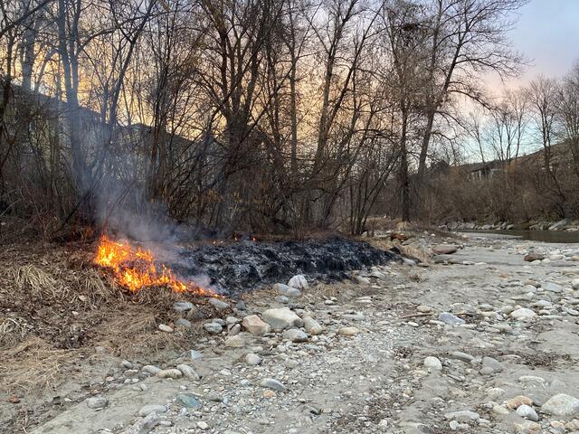 Das Feuer zerstörte 35 Quadratmeter Wiesenfläche. | Foto: Polizei Kärnten