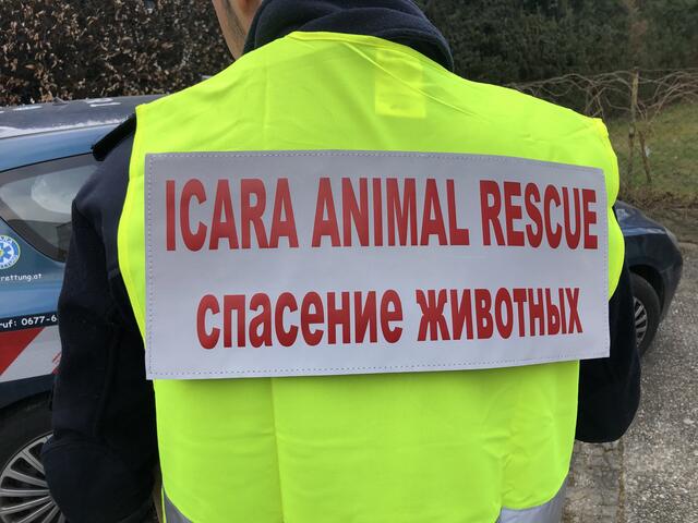 ICARA Animal Care