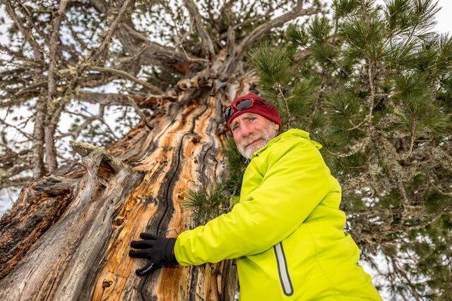 Waldumgebungen fördern die geistige und körperliche Gesundheit des Menschen in vielerlei Hinsicht: "Wälder helfen, Stress abzubauen und sich von Ermüdung zu erholen , und im Allgemeinen fördern Wälder stark sowohl die psychische als auch die körperliche Rehabilitation", ist sich der Nationalpark-Ranger Hans Naglmayr sicher. | Foto: Ronny Katsch