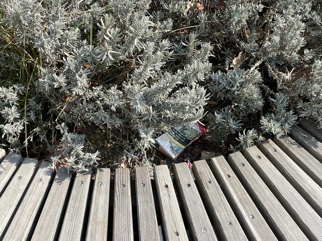 Besonders tragisch: bei den geschaffenen Sitzflächen werden Bierdosen, Zigarettenschachteln und Flyer entsorgt.  | Foto: Kai Reinisch