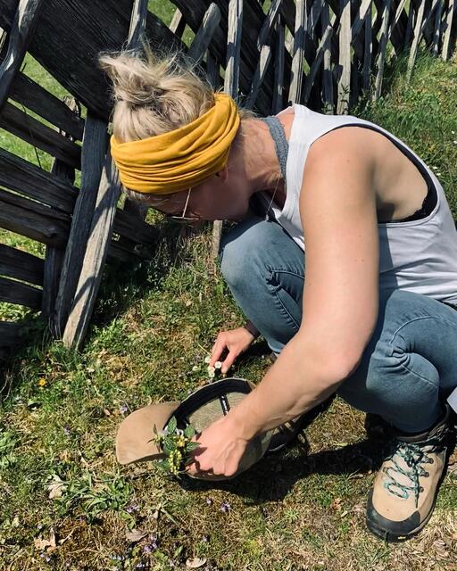 Kräutersammeln mit Anja Fischer