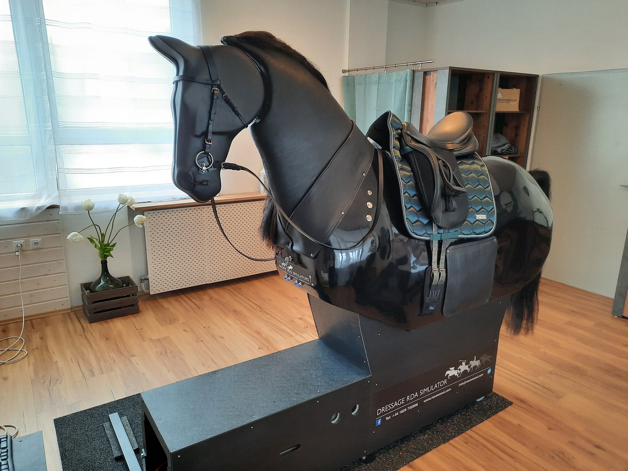 Reitsimulator Kaufen Fr Zuhause