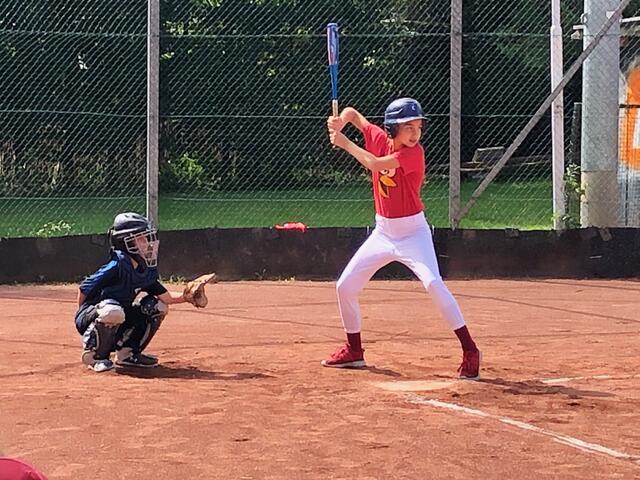Das Geriatriezentrum könnte in ein Sportareal umgewandelt werden. | Foto: Baseballschule