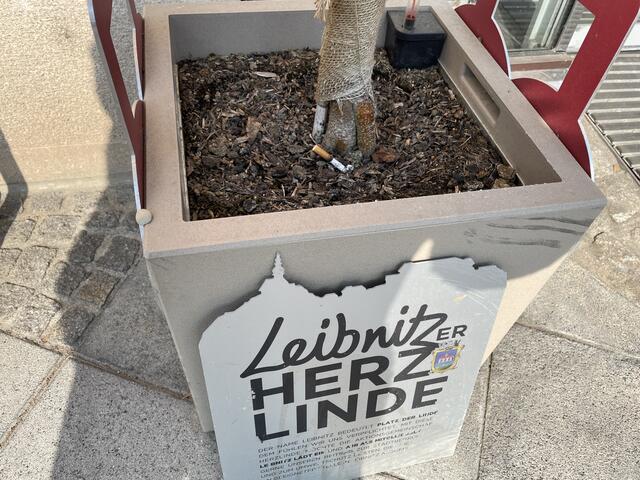 Vor der Steiermärkischen Sparkasse am Leibnitzer Hauptplatz, kommt es immer wieder zu Verschmutzungen, obwohl reichlich Abfallbehälter vorhanden sind.  | Foto: Kai Reinisch