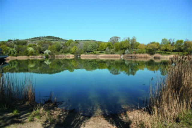 Abkühlen im Windradlteich | Foto: Alois Fischer