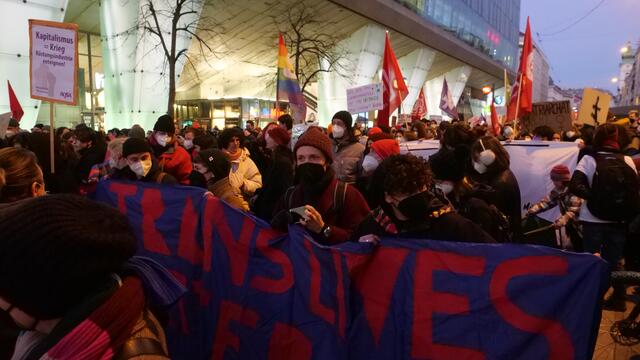 Auf dem Banner steht "Trans Lives Matter" | Foto: Max Spitzauer