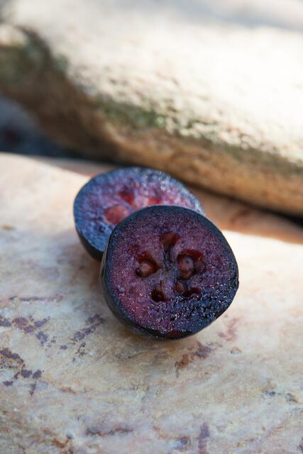 Aroniabeeren sind besonders reich an sekundären Pflanzenstoffen, Antioxidantien und Bitterstoffen.

 | Foto: AroniaGut
