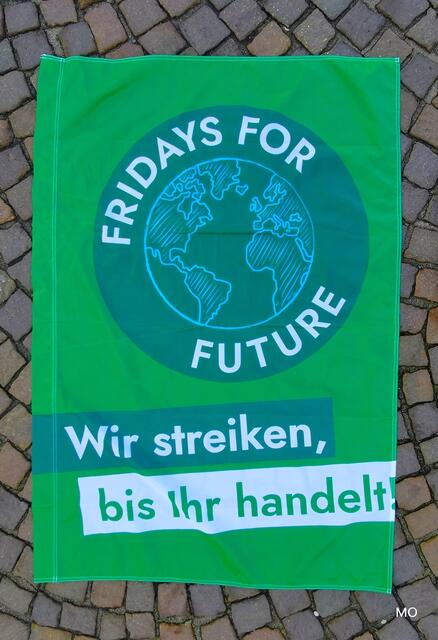 FRIDAYS FOR FUTURE