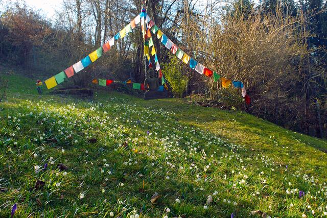 Zu Hause in Bruno Baumanns Garten sind viele Elemente asiatischer Kunst vertreten.  | Foto: Bruno Baumann