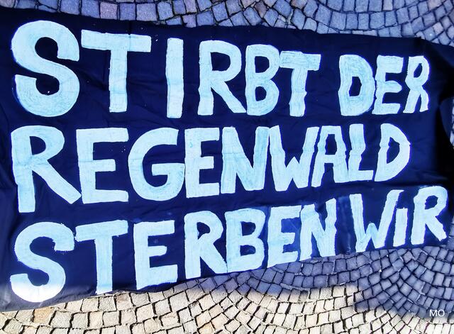 Demonstration für das Klima