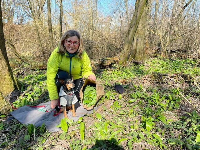 Pielachtal Regionautin Josefa Seel liebt Bärlauch.  | Foto: Tanja Handlfinger