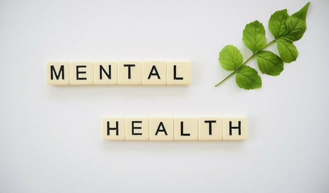 Bei der Initiative zum Mental Health Jugendvolksbegehren nehmen mehr als 50 Organisationen und ExpertInnen teil. Das Ziel: Die Politik mit den Forderungen der Kinder Jugendlichen zu erreichen und selbst Angebote an den Schulen umzusetzen.  | Foto: Pixabay/TotalShape (Symbolbild)