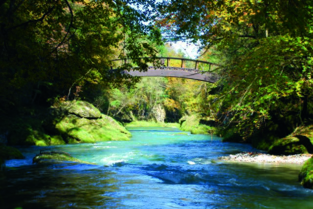 Einfach atemeberaubend: die Erlauftalschlucht | Foto: Gemeinde Purgstall