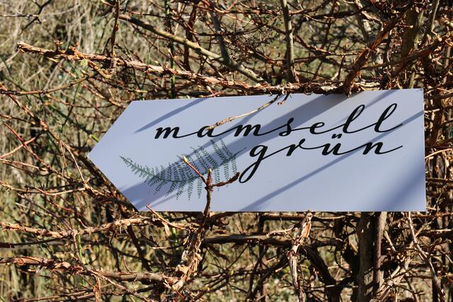 Im Klostergarten befindet sich auch ein neuer Blumenladen. Mamsell Grün wird von Ramona Gerner, ebenfalls stellv. Obfrau beim Verein Klostergarten, betrieben. 