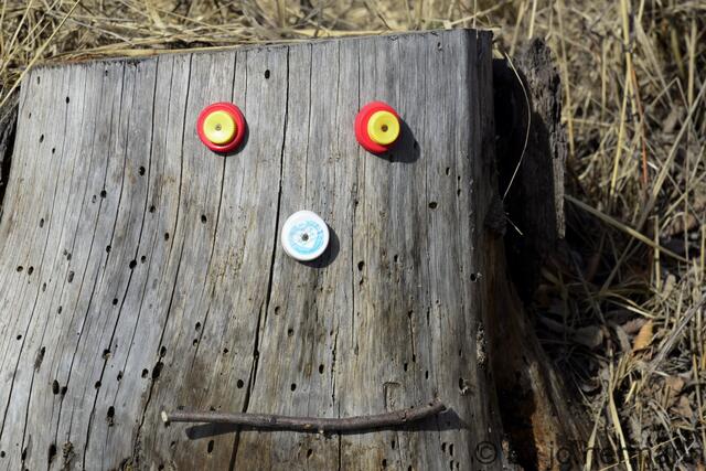 Ein Knopfgesicht!
Wer lächelt den hier aus der Zeitung!? Eine lustiges Knopfgesicht. Es bedarf nur: Etwas Phantasie, einen Baumstamm, ein paar bunte Knöpfe und ein Stäbchen aus Holz. | Foto: Foto: Jo Hermann