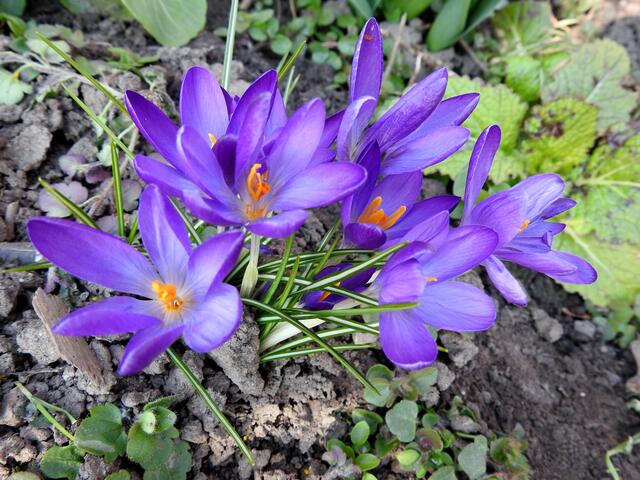 Foto: die Natur verzaubert