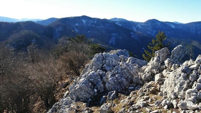 Foto: Silvia Plischek