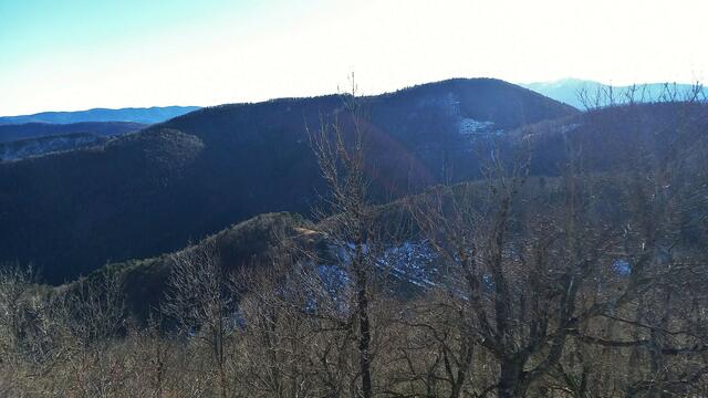 Foto: Silvia Plischek