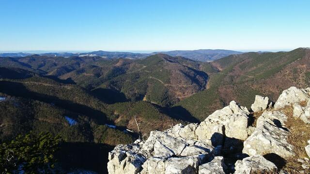 Foto: Silvia Plischek