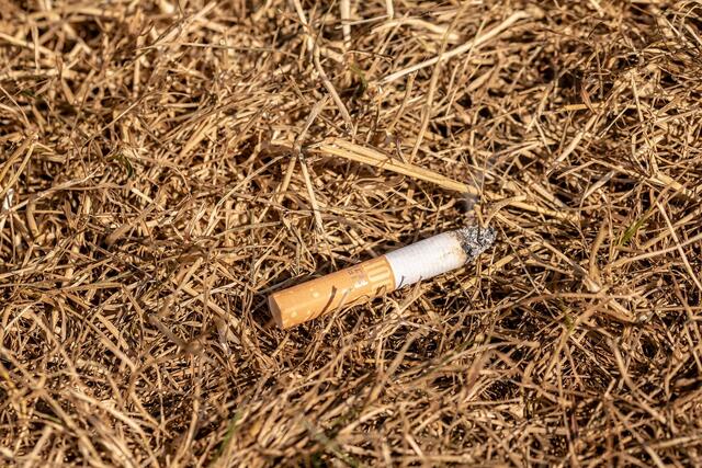 Landesfeuerwehrkommandant Peter Hölzl ruft die Bevölkerung und Gäste auf, im Wald und in Flurbereichen nicht mit offenem Feuer zu hantieren, das Rauchen und auch Zweckfeuer derzeit zu unterlassen. | Foto: Pixabay/Myriams-Fotos (Symbolbild)