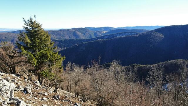 Foto: Silvia Plischek