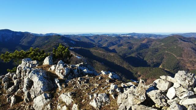 Foto: Silvia Plischek