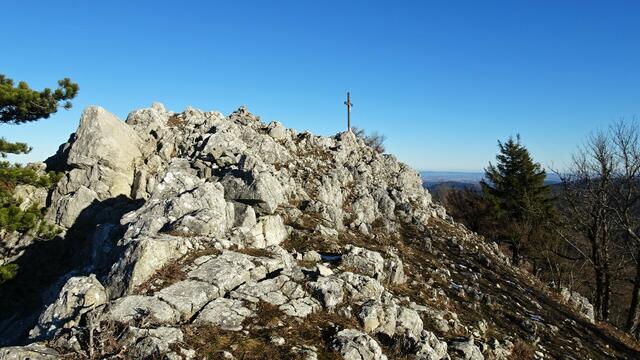 Auf Wiedersehen und bis zum nächsten Mal! | Foto: Silvia Plischek