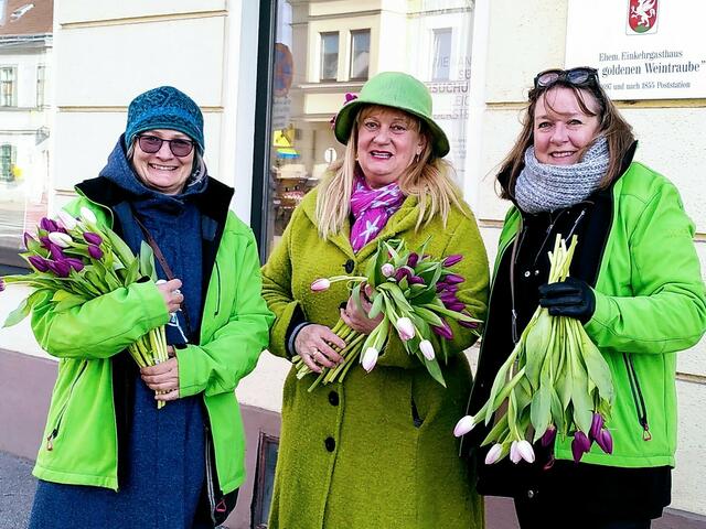 Am Vormittag waren Ingrid Lechinger, Waltraud Stindl und Barbara Schluschanek unterwegs. | Foto: GRÜNE Langenzersdorf