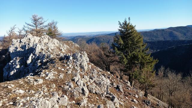 Foto: Silvia Plischek