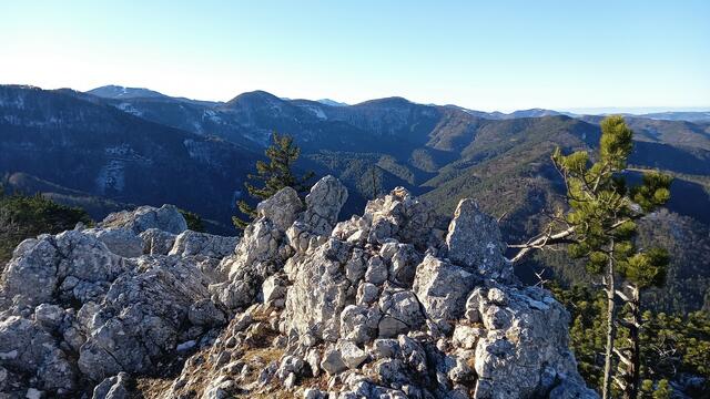 Foto: Silvia Plischek