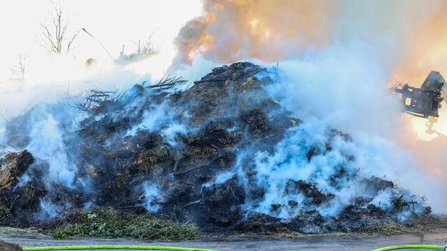 Foto: TEAM FOTOKERSCHI.AT / DRAXLER