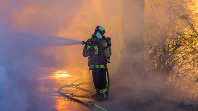 Foto: TEAM FOTOKERSCHI.AT / DRAXLER
