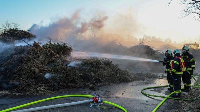 Foto: TEAM FOTOKERSCHI.AT / DRAXLER