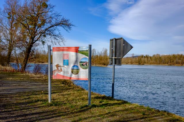 Infotafel am Donauufer