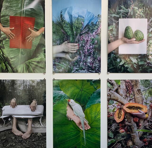Foto Wien, Vanja Bucan, Sequenzen von Wahrheit und Täuschung | Foto: © Gabriele Czeiner