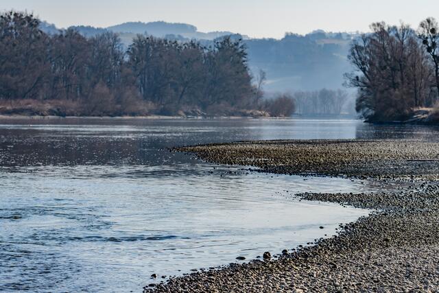 Blick von der Sandbank auf die Insel Hochau in Richtung Osten