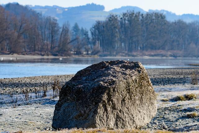 Findling auf einer Sandnak bei Ardagger