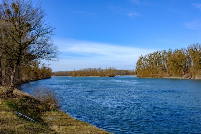 Blickrichtugn auf die Donauinsel in Richtung Westen