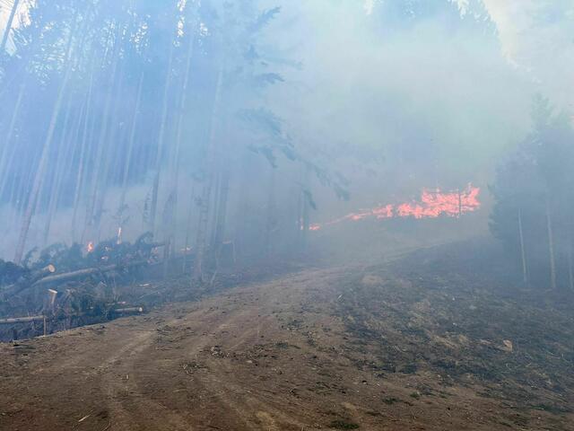 Foto: BFKDO St.Pölten