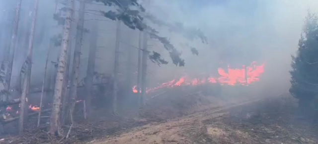 Großeinsatz im Pielachtal | Foto: Feuerwehr Frankenfels